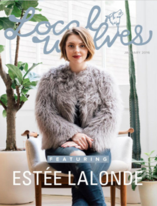 Snow covered leaves on a tree, with an owl